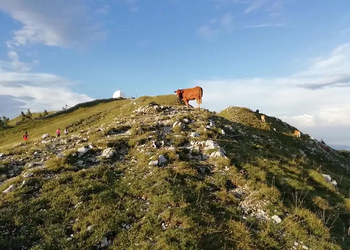 Cahute De Montagne Pour Profiter Du Haut Jura