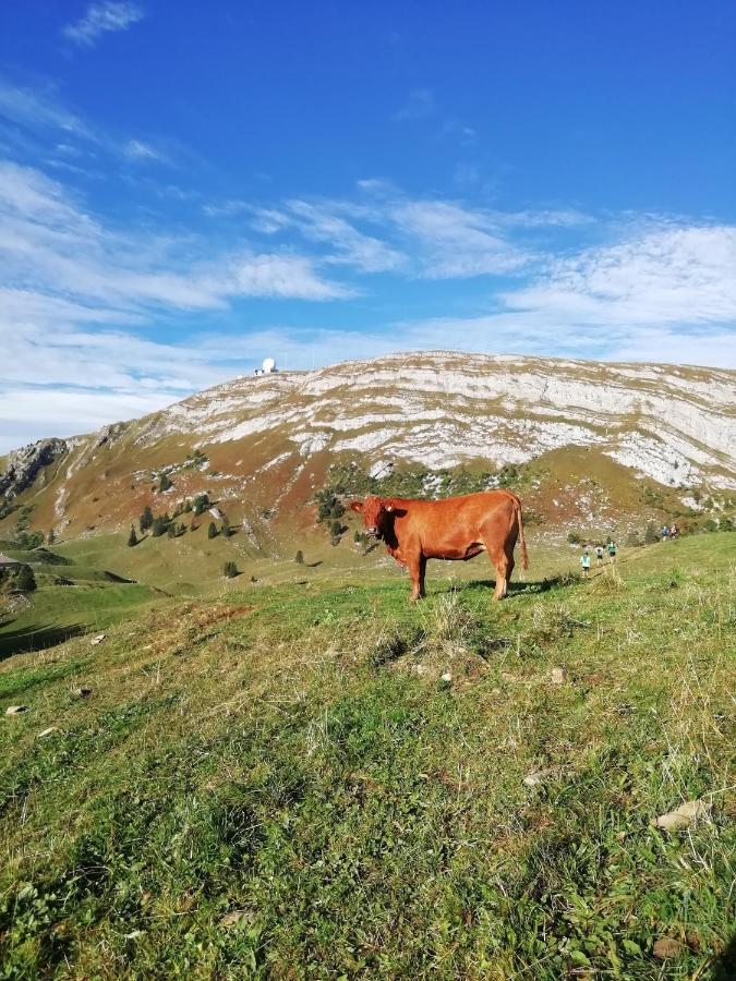Cahute De Montagne Pour Profiter Du Jura *