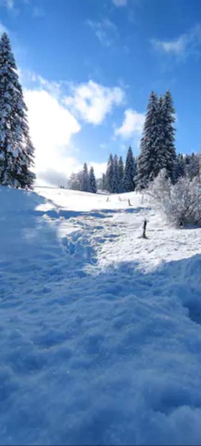 Cahute De Montagne Pour Profiter Du Jura * Premanon